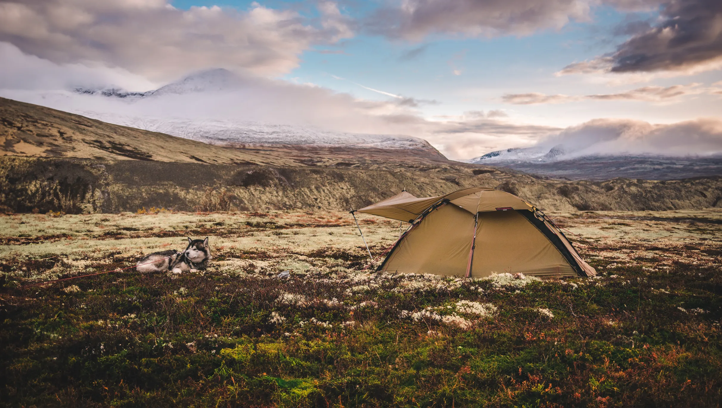 A group of Hilleberg tents in the arctic