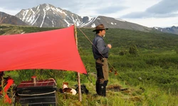 Günter Wamser portrait