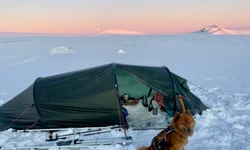 Anna and Freja portrait