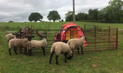 Gudrun and Tony portrait