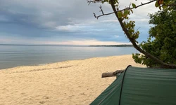 Nerea Gooss portrait