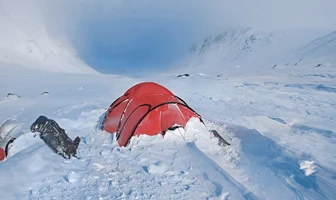 Black Label showcase