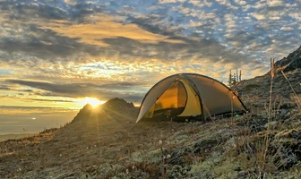 Yellow Label showcase